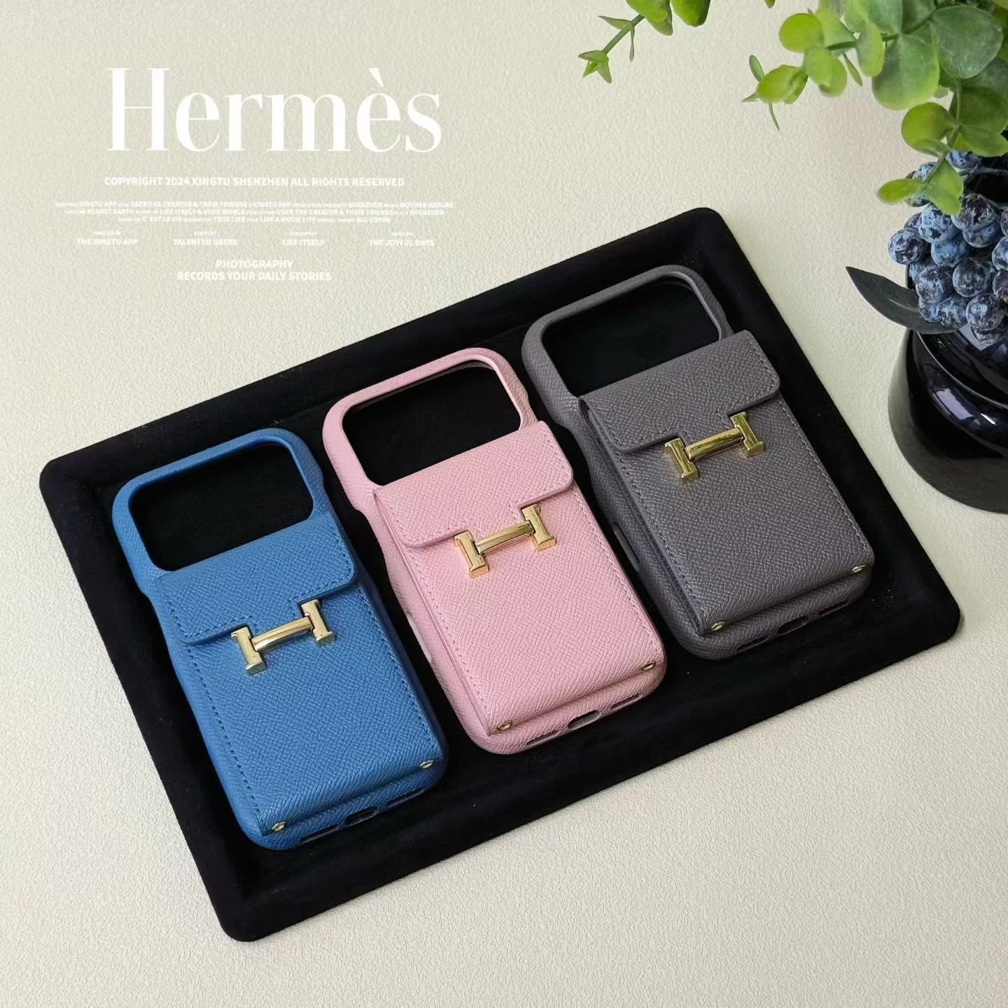 Three Hermès phone cases in blue, pink, and gray on a black tray with a plant in the background.